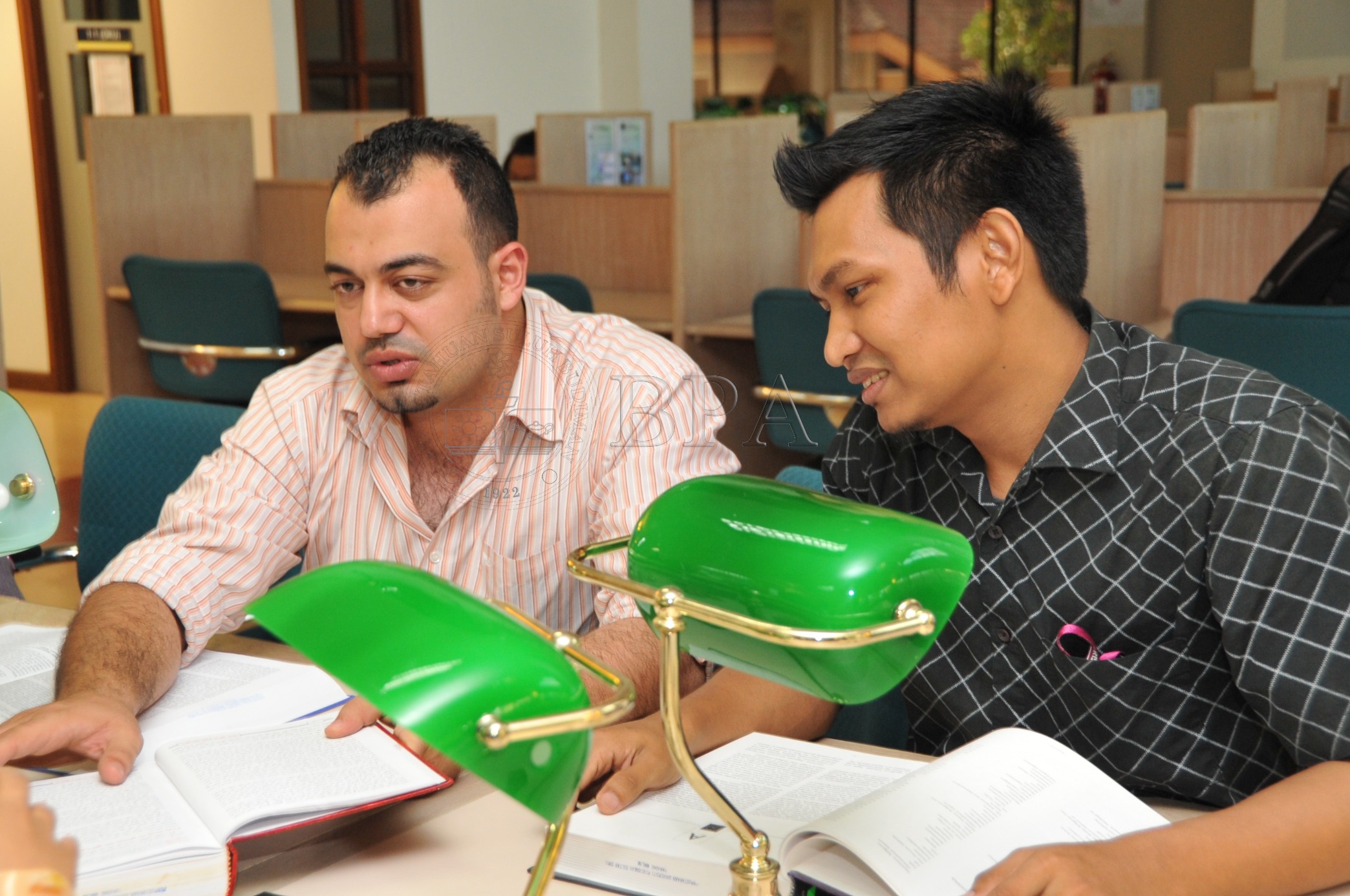 BPA 12 95 ips PRO 4282